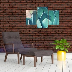 Tablou - Suculent (90x60 cm)