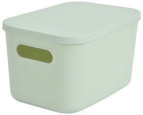 Cutie de depozitare verde-deschis din plastic cu capac 24,5x18x15 cm – Homéa