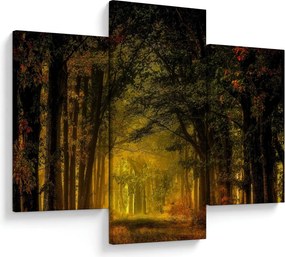 Tablou cu pădure (90x60 cm)