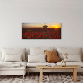 Tablou cu lunca și macii (120x50 cm)