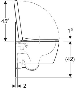 Set vas wc suspendat rimless cu capac soft close, alb mat, Geberit, iCon