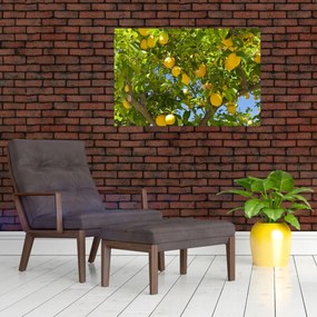 Tablou - Lămâiță (90x60 cm)