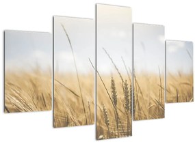 Tablou cu grâne (150x105 cm)