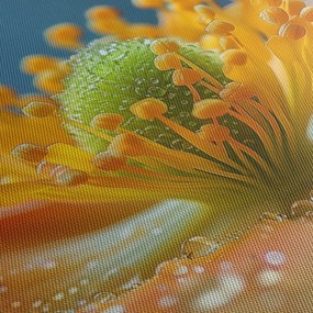 Tablou - Detaliu de floare (150x105 cm)