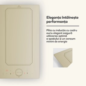 Klarstein Victoria Domino, plită cu inducție, încorporabilă, 3500 W, Flexzone, temporizator