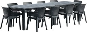Set de mobilier de grădină Jueva cu 10 locuri, grafit