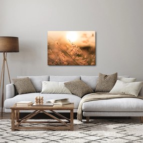 Tablou - Iarbă la soare (70x50 cm)