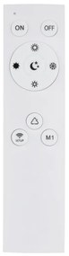 Lustra LED aplicata cu telecomanda JACK