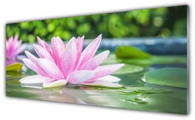 Tablouri acrilice Water Flower Art Roz Verde