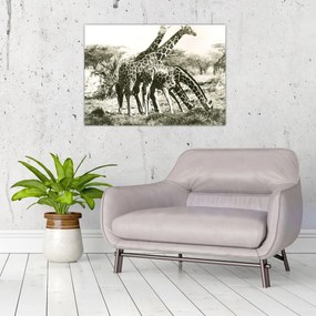 Tablou pe sticlă - Girafe, de epocă (70x50 cm)