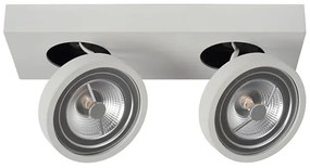 Lucide 09920/20/31 - LED Lampă spot dimmabilă NENAD AR111 G53/2x10W/18V