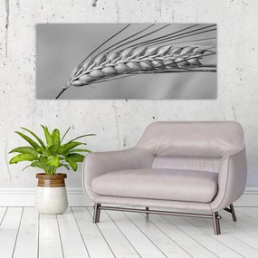 Tablou - Grâu,alb-negru (120x50 cm)