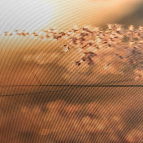 Tablou - Iarbă la soare (120x50 cm)