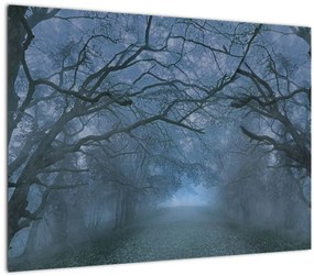 Tablou - Pădurea în ceață (70x50 cm)