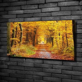 Tablou canvas Pădure în toamna
