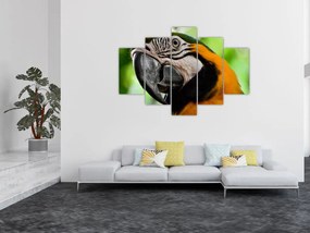 Tablou cu papagal (150x105 cm)