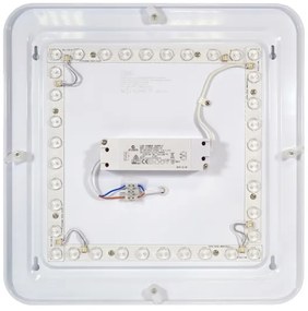 Fulgur 24313 - Plafonieră LED PAVLA STARS LED/36W/230V 2700K