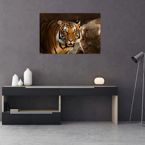 Tablou cu tigrul (90x60 cm)