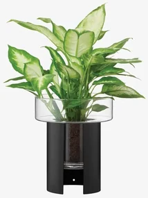 Ghiveci de flori Terrazza, î. 22 cm, Ø19 cm, transparent/negru - LSA international
