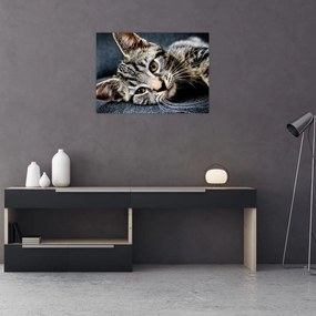 Tablou pe sticlă - Pisoi (70x50 cm)