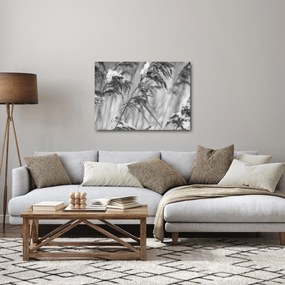 Tablou - Tei,alb-negru (70x50 cm)