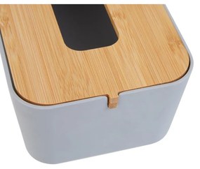 Cutie pentru șervețele din plastic Canyon – Premier Housewares