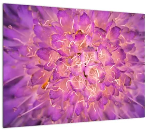 Tablou detailat cu floare (70x50 cm)