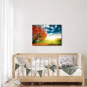 Tablou peisaj cu scufundat în razele solare (70x50 cm)