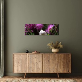 Tablou - Cochilie de melc (cu ceas) (90x30 cm)