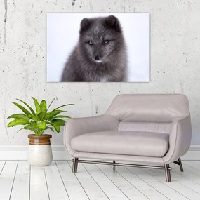 Tablou cu vulpe polară (90x60 cm)