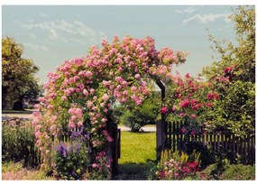 Fototapet natura - Bolta de trandafiri