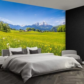 Fototapet pajisti alpine
