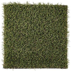 Gazon artificial Piccadilly 20mm 2500x100 cm, Yes