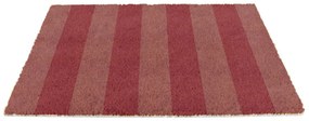 Covoraș de intrare din fibre de nucă de cocos 40x60 cm Pink Stripe – Artsy Doormats