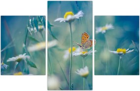 Tablou - Fluture pe margaretă (90x60 cm)