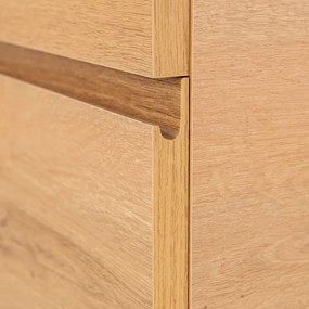 Vario Pull 120 dulap de bază cu chiuvetă stejar-oak