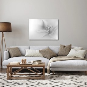 Tablou - Crin delicat (70x50 cm)