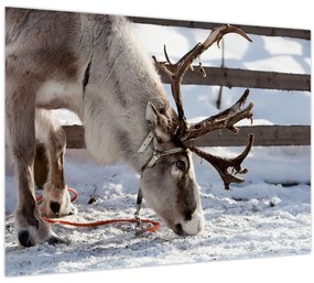 Tablou - Sâmbătă (70x50 cm)