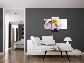 Tablou - Vultur (90x60 cm)