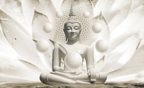 Fototapet - Buddha (254x184 cm)