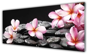 Tablou pe sticla Pietrele florale flori roz negru