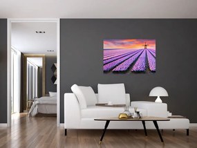 Tablou - ferma cu flori (90x60 cm)