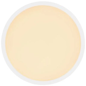 Plafoniera LED pentru baie IP44 SAPANA