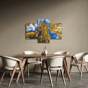 Tablou - Aspen (90x60 cm)