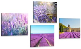 Set tablouri pentru iubitorii de lavandă