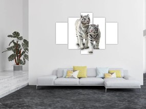 Tablou - Tigrul alb (150x105 cm)