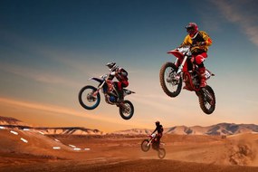 Fototapet motocicliști