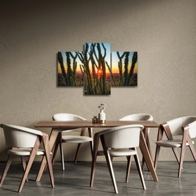 Tablou - Plante (90x60 cm)