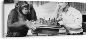 Tablou - Circ 2 (120x50 cm)