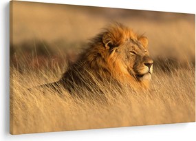 Tablou - Parcul Național Etosha (90x60 cm)
